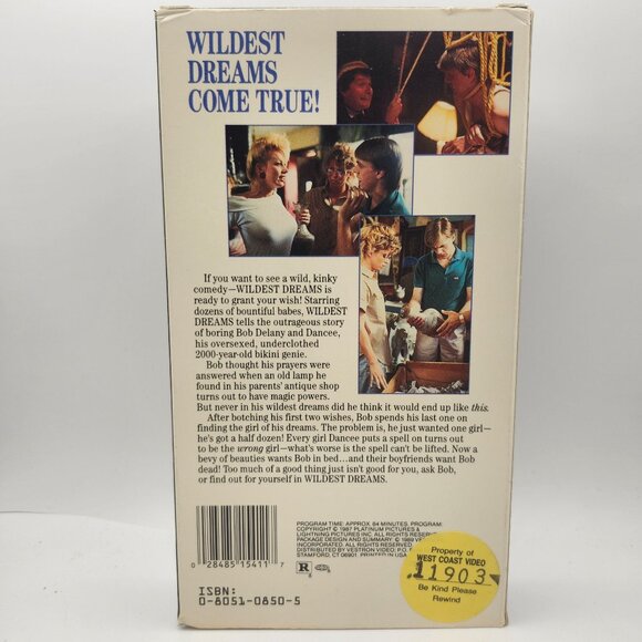 Wildest Dreams 1987 VHS Chuck Vincent Heidi Paine James Davies Vestron Video - Picture 3 of 4
